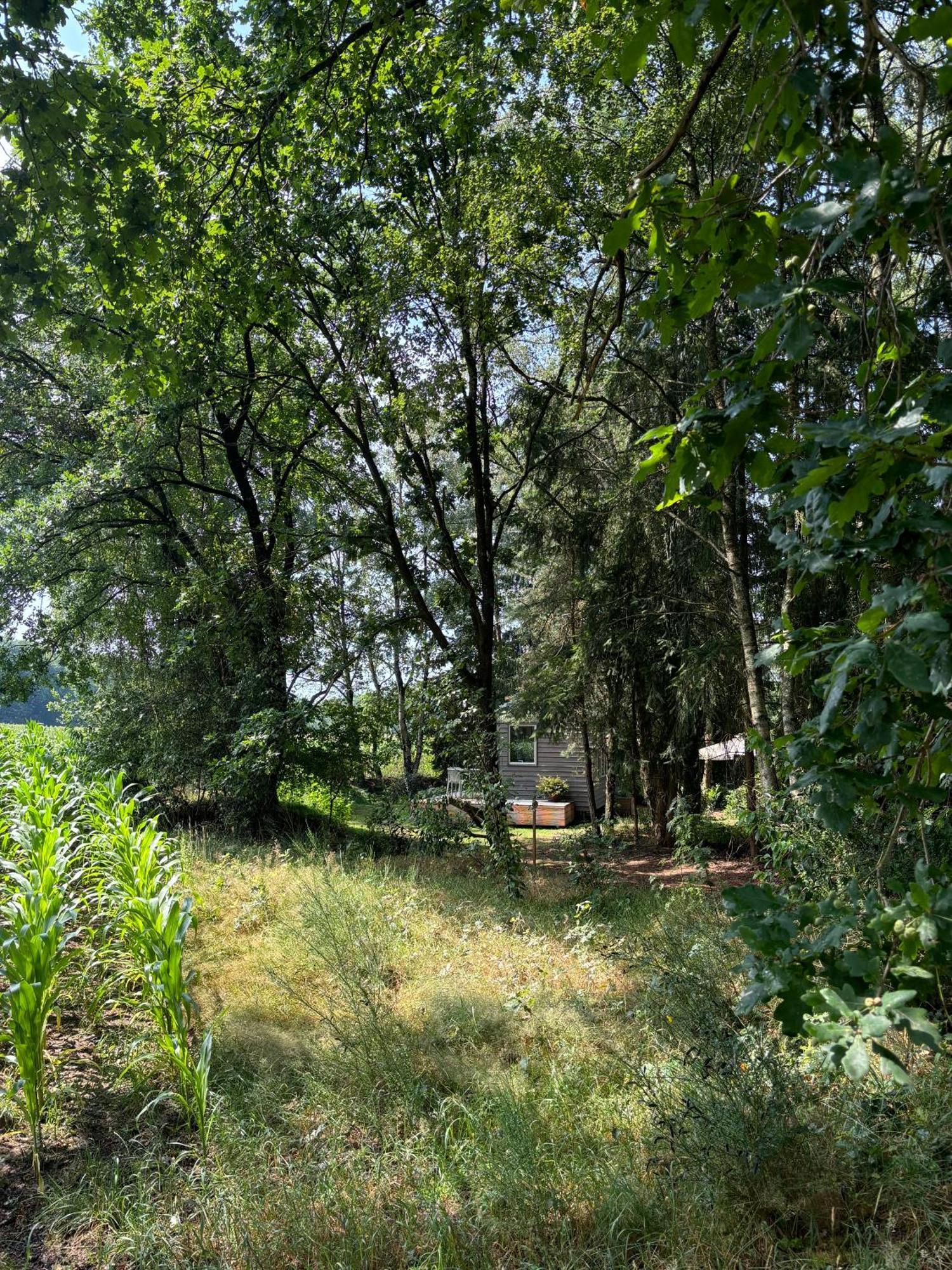 Tiny House Mit Garten In Der Lueneburger Heide سولتو المظهر الخارجي الصورة